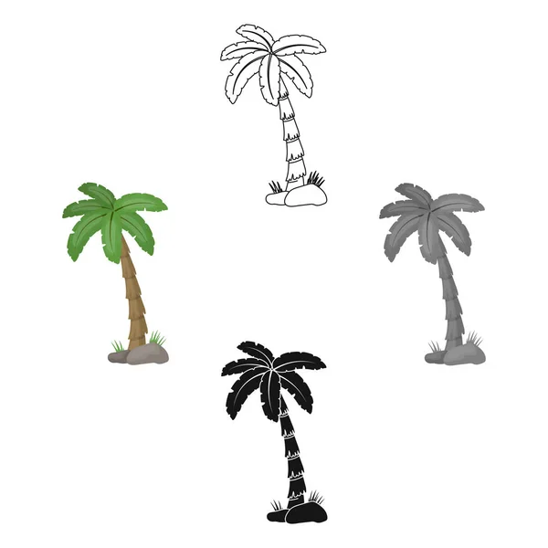 Ícone de palmeira em desenho animado, estilo preto isolado no fundo branco. Brasil país símbolo estoque vetor ilustração . — Vetor de Stock