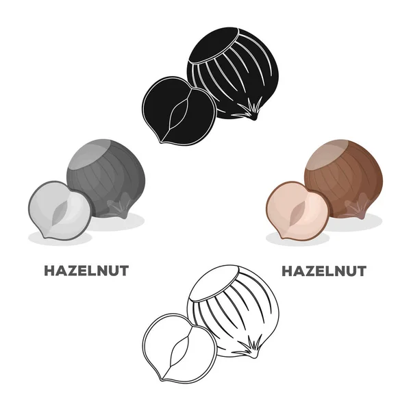 Hazelnuts in shell.Different kinds of nuts single icon in cartoon,black style vector symbol stock illustration. — Stock Vector