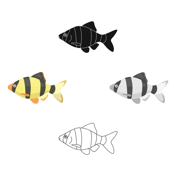Diferentes tipos de iconos de dibujos animados de peces en la colección de conjuntos para el diseño. Marino y acuario peces vector símbolo stock web ilustración . — Vector de stock