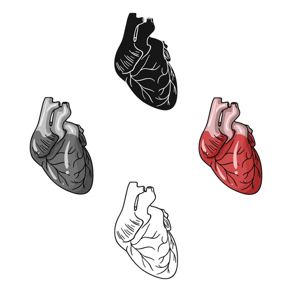 Icono del corazón humano en caricatura, estilo negro aislado sobre fondo blanco. Organos humanos símbolo stock vector ilustración . — Archivo Imágenes Vectoriales