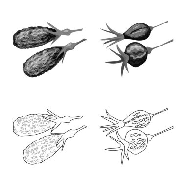 Gıda ve ham simge vektör tasarımı. Gıda ve doğa hisse senedi vektör çizim seti.