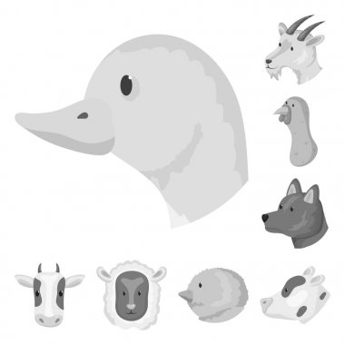 Kırsal ve çiftlik logosu vektör tasarımı. Kırsal ve ıslah stok vektör illüstrasyon toplama.