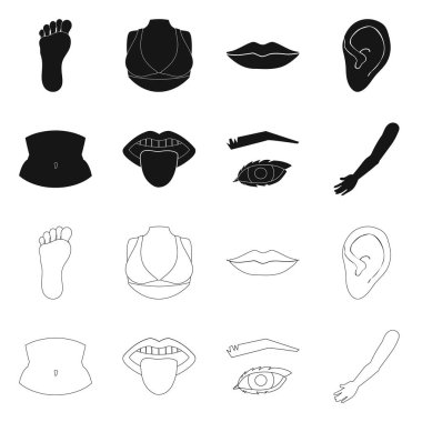 Vücut ve parçası sembol yalıtılmış nesne. Hisse senedi için vücut ve anatomi vektör simge kümesi.