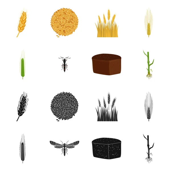 Illustrazione vettoriale dell'agricoltura e icona dell'agricoltura. Raccolta di icone vettoriali agricole e vegetali per lo stock . — Vettoriale Stock