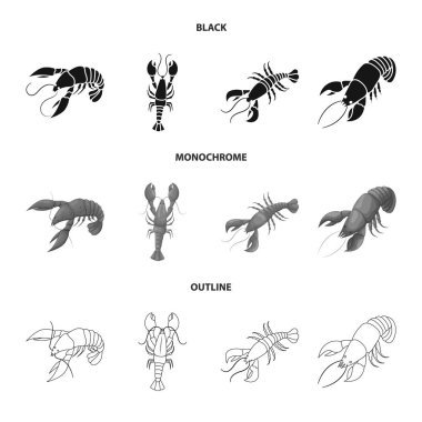 Meze ve okyanus logo vektör tasarımı. Web için meze ve incelik hisse senedi simgesi kümesi.