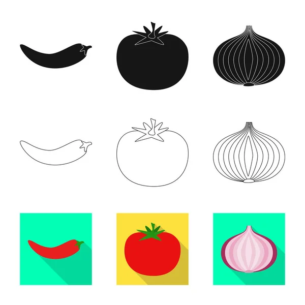 Векторная иллюстрация вкуса и логотипа продукта. Набор вкуса и символ кулинарного инвентаря для сети . — стоковый вектор
