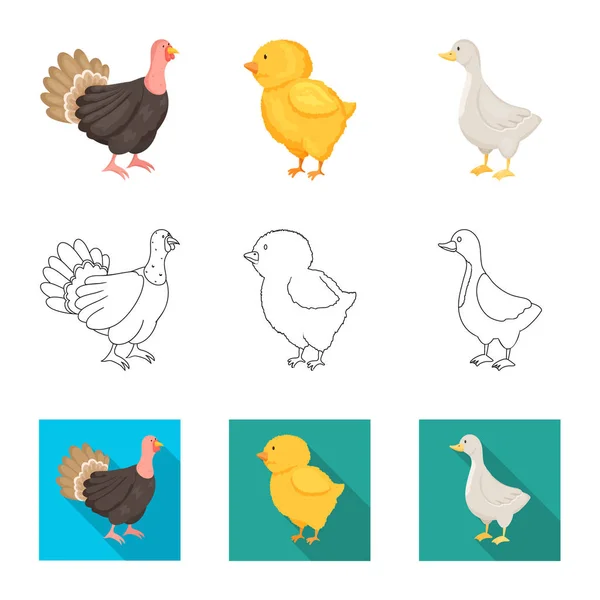 Design vettoriale dell'icona dell'allevamento e della cucina. Set di icone vettoriali riproduttive e organiche per lo stock . — Vettoriale Stock
