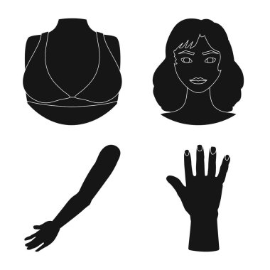 Vücut ve bölüm işareti yalıtılmış nesne. Vücut ve anatomi hisse senedi vektör çizim seti.