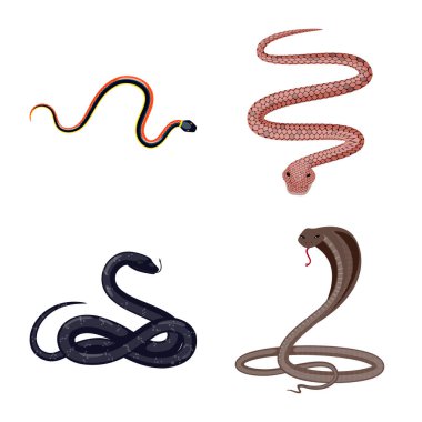 Zehir ve kötü logo vektör illüstrasyon. Web için zehir ve ısırık stok sembolü toplama.