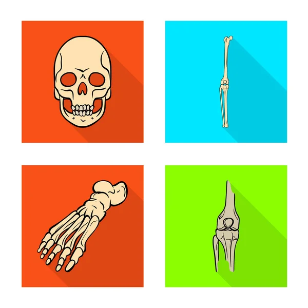 Векторний дизайн піктограми кістки та скелета. Збірка кісток і символів людського запасу для Інтернету . — стоковий вектор