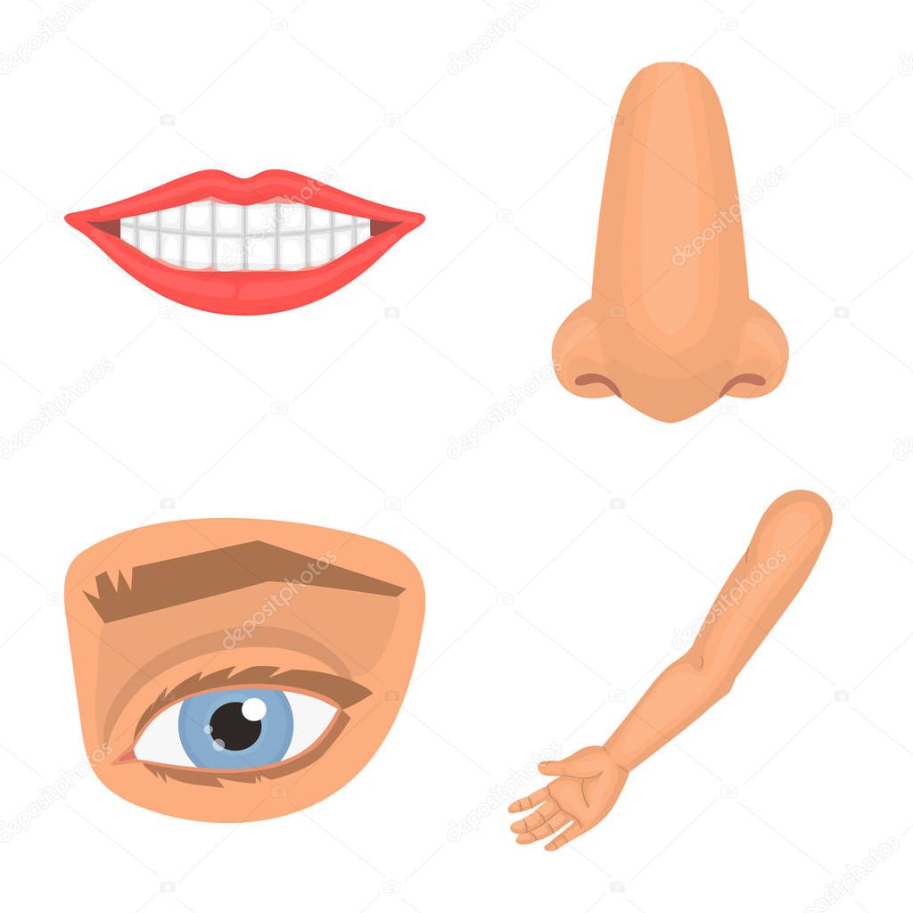 Vector illustration of body and part sign. Set of body and anatomy stock symbol for web.