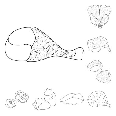 Yemek ve ızgara işareti izole nesne. Gıda ve kuş stok vektör illüstrasyon seti.