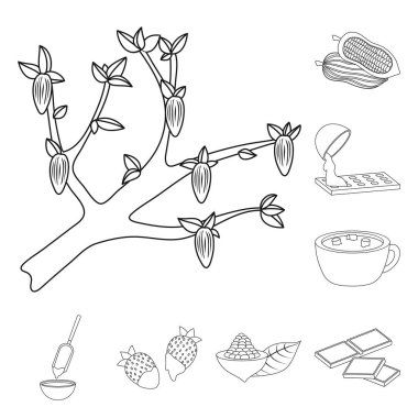 Kakao ve fasulye simge vektör tasarımı. Kakao ve tatlılık hisse senedi vektör çizim topluluğu.