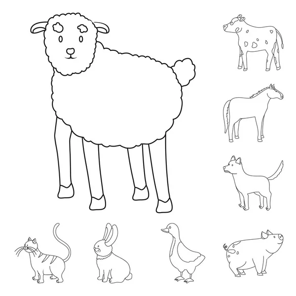 Illustration vectorielle du symbole maison et campagne. Ensemble de maison et l'agriculture stock symbole pour le web . — Image vectorielle