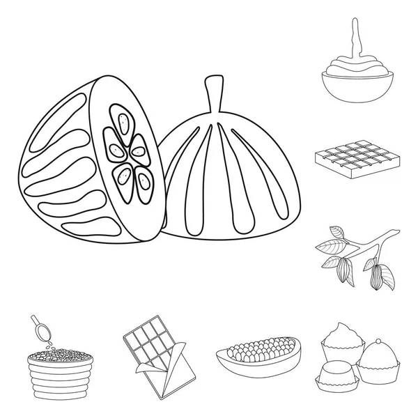 Изолированный объект с логотипом какао и бобов. Коллекция какао и сладости символ запасов для сети . — стоковый вектор