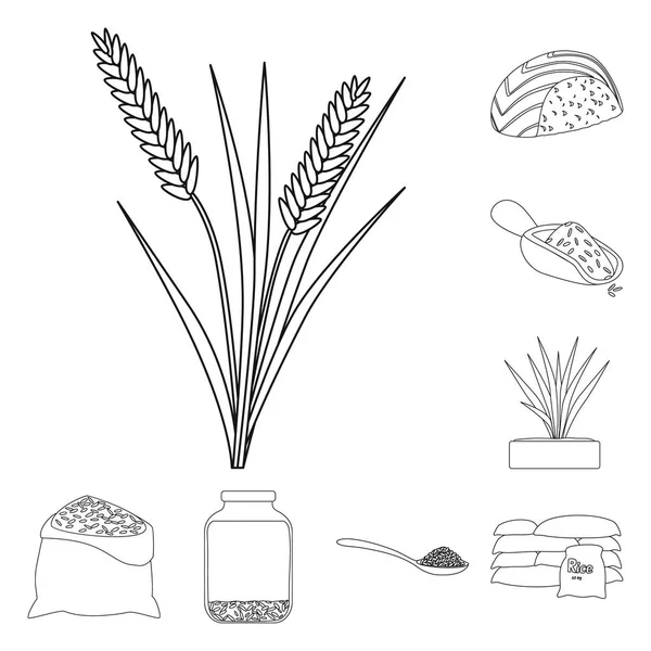 Diyet ve pişirme işareti izole nesne. Stok için diyet ve organik vektör simgesi koleksiyonu. — Stok Vektör