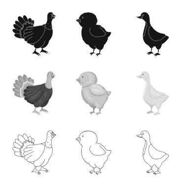 Üreme ve mutfak simge vektör Illustration. Koleksiyon ıslahının ve web için organik hisse senedi simgesi.