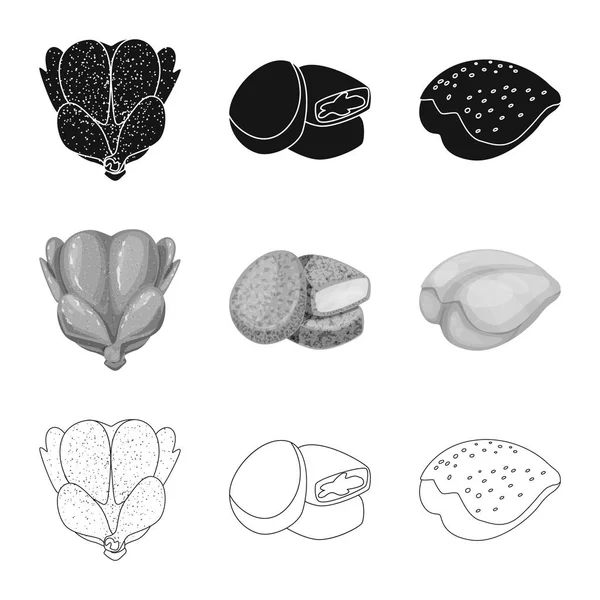 Conception vectorielle du produit et signe de la volaille. Illustration vectorielle du stock de produits et d'agriculture . — Image vectorielle