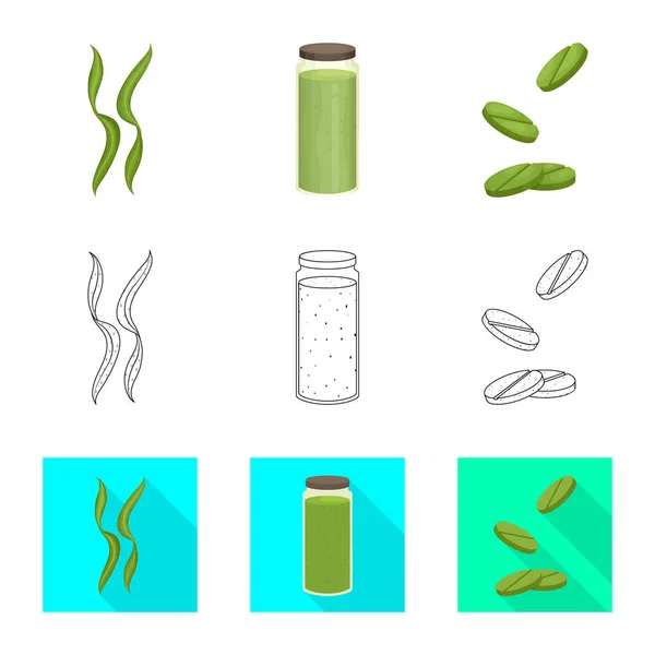 Illustration vectorielle des protéines et des symboles marins. Jeu d'illustration vectorielle de protéines et de bouillon naturel . — Image vectorielle