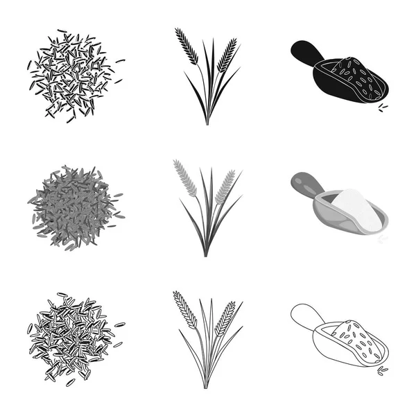 Векторне проектування культури та екологічної ікони. Збірка символів врожаю та приготування їжі в Інтернеті . — стоковий вектор