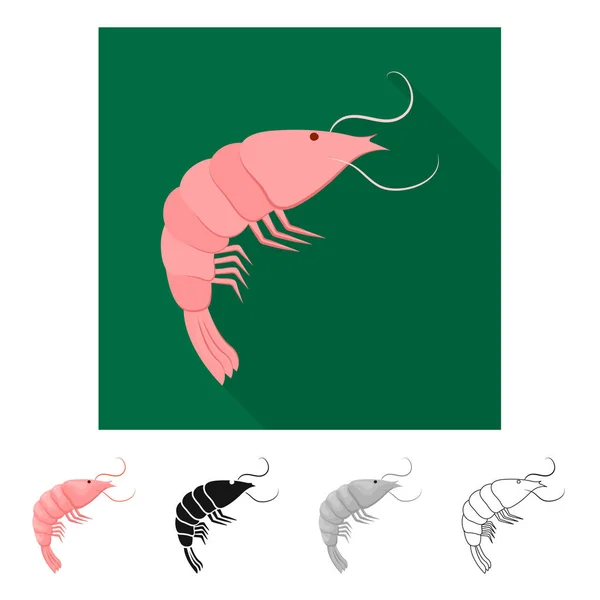 Ilustração vetorial de camarão e símbolo cru. Conjunto de camarão e símbolo de estoque de luxo para web . —  Vetores de Stock