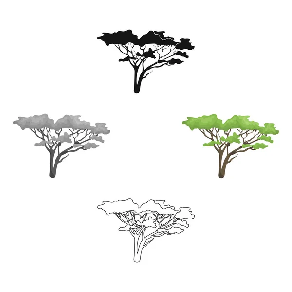 Arbre dans la savane. Safari africain icône unique dans la bande dessinée, noir style vectoriel symbole illustration web . — Image vectorielle