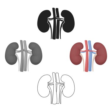 Karikatür böbrek simgesi, siyah tarzı beyaz arka plan üzerinde izole. Organlar sembolü stok vektör illüstrasyon.