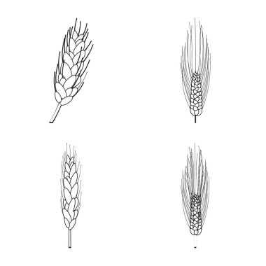 Yalıtılmış nesne tarım ve tarım sembolü. Tarım ve bitki hisse senedi simgesi için web topluluğu.