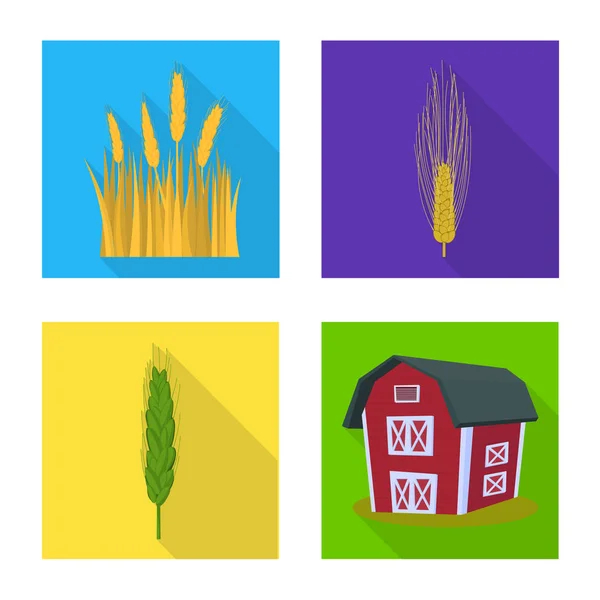 Vector design of wheat and corn sign. Collection of wheat and harvest vector icon for stock. — Stock Vector