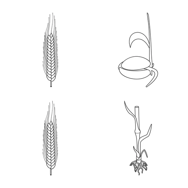 Ilustração vetorial da agricultura e ícone da agricultura. Conjunto de símbolos de plantas e agricultura para web . —  Vetores de Stock