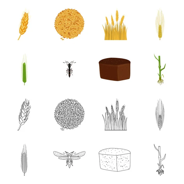Векторное проектирование сельского хозяйства и эмблемы сельского хозяйства. Сельское хозяйство и растительный запас символа для сети . — стоковый вектор