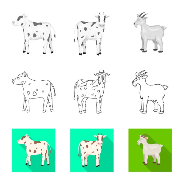 Diseño vectorial del logotipo de cría y cocina. Conjunto de crianza y vector orgánico icono para stock . — Vector de stock