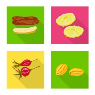 Meyve ve kurutulmuş simge vektör tasarımı. Web için meyve ve gıda stok sembolü seti.
