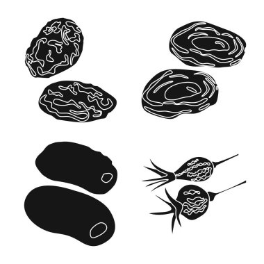 Vitamin ve doğa sembolü vektör tasarımı. Web için vitamin ve kurutulmuş stok sembolü toplama.