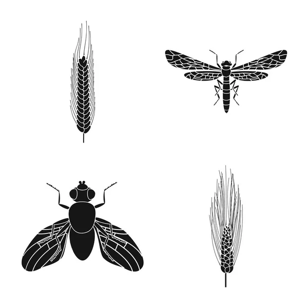 Conception vectorielle du seigle et de l'icône végétale. Collection d'icône vectorielle de seigle et de maïs pour stock . — Image vectorielle