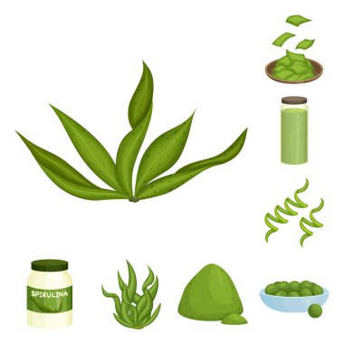 Spirulina ve yosun işareti vektör illüstrasyon. Stok için spirulina ve vegan vektör simgesinin toplanması.
