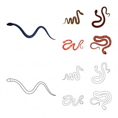 Mammal ve tehlike işareti vektör tasarımı. Memeli ve tıp hisse senedi vektör çizim seti.