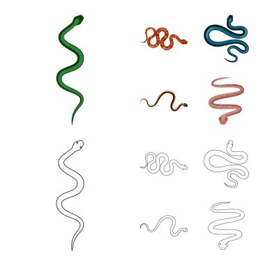 Memeli ve tehlike simgesi yalıtılmış nesne. Memeli ve tıp hisse senedi vektör çizim topluluğu.