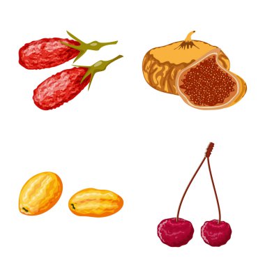 Meyve ve kurutulmuş simge vektör Illustration. Meyve ve gıda hisse senedi simgesi için web topluluğu.