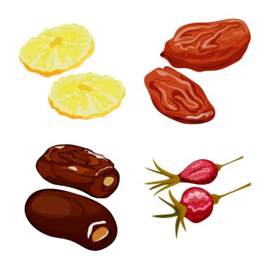 Meyve ve kurutulmuş işareti vektör tasarımı. Meyve ve gıda stok vektör çizim seti.