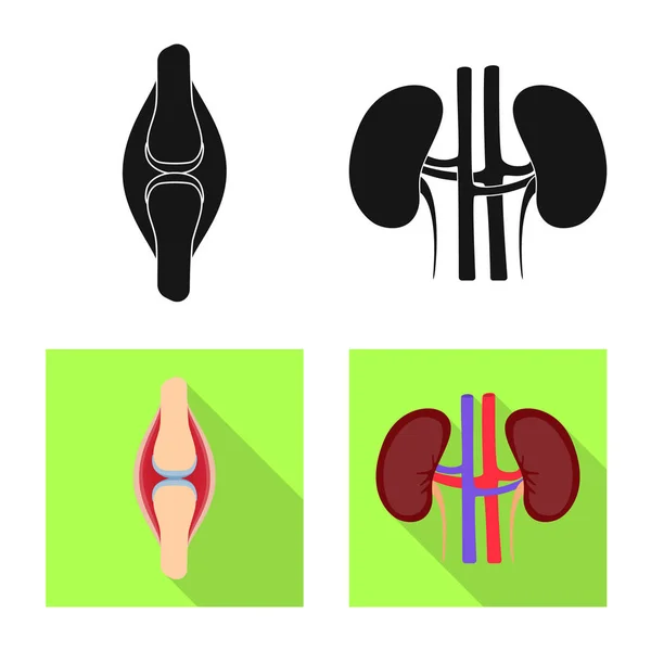 Diseño vectorial de biología y logotipo científico. Colección de biología y símbolo de stock de laboratorio para web . — Archivo Imágenes Vectoriales