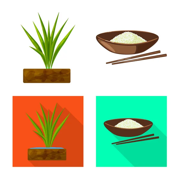 Vectorillustratie van gewas- en ecologische symbool. Collectie van gewas- en koken vector pictogram voor voorraad. — Stockvector