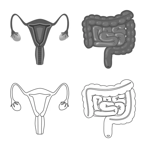 Objeto aislado de biología y símbolo científico. Conjunto de biología y vector de laboratorio icono para stock . — Archivo Imágenes Vectoriales