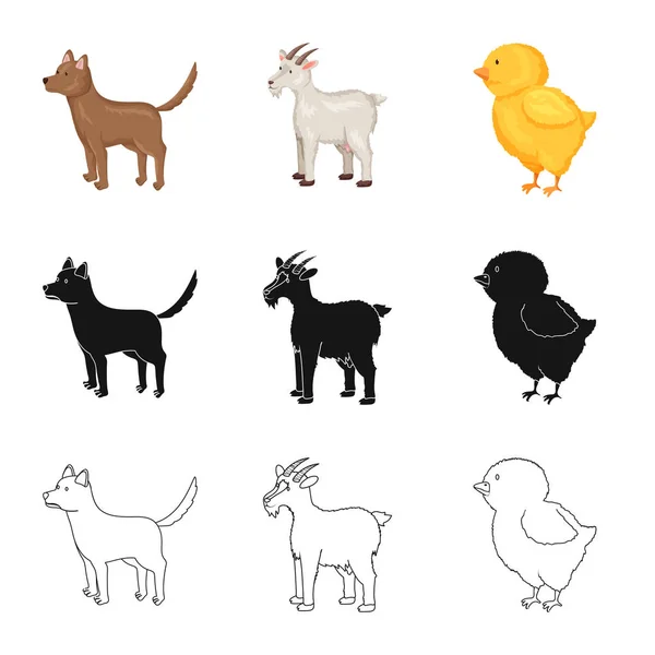 Conception vectorielle de l'élevage et symbole de la cuisine. Collection d'icônes vectorielles biologiques et reproductrices pour le stock . — Image vectorielle