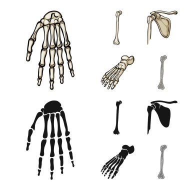 Tıp ve klinik simge vektör tasarımı. İlaç ve tıbbi hisse senedi vektör çizim koleksiyonu.