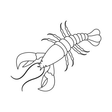 Istakoz ve kırmızı sembolüvektör illüstrasyon. Istakoz ve atlantik stok vektör illüstrasyon seti.