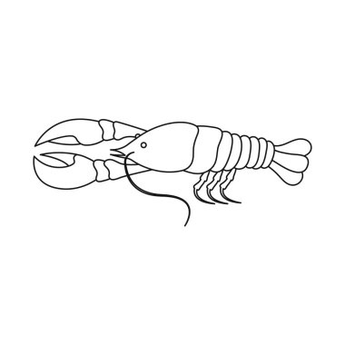 Kerevit ve ıstakoz simgesiizole nesne. Stok için kerevit ve haşlanmış vektör simgesi seti.