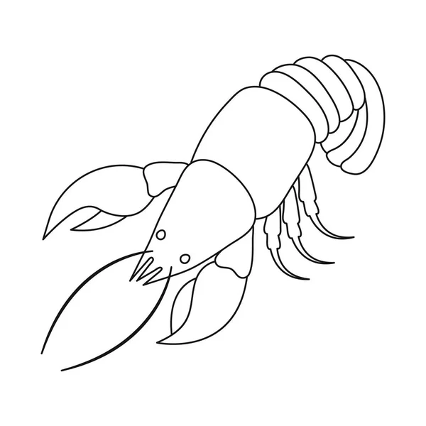 Vector design of lobster and red symbol. Set of lobster and underwater vector icon for stock. — Stock Vector