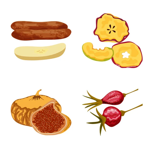 Objet isolé de fruits et icône séchée. Ensemble d'icône vectorielle de fruits et d'aliments pour stock . — Image vectorielle