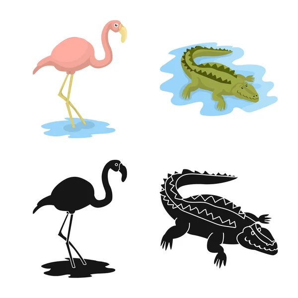 Vectorillustratie van karakter en de leuk symbool. Collectie van natuur en vermaak vector pictogram voor voorraad. — Stockvector